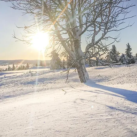 Brottum Sjusjoen